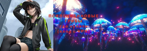 тгк Аркадак