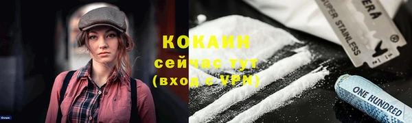тгк Аркадак