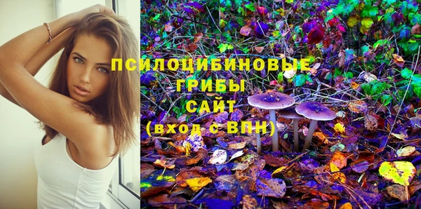 твердый Арсеньев