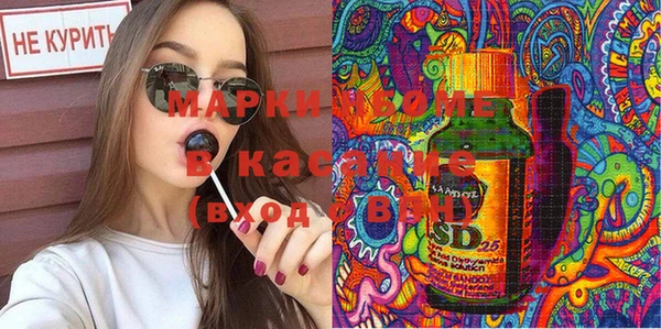 твердый Арсеньев