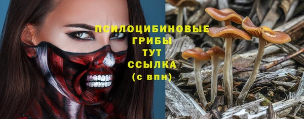 прущая мука Армянск