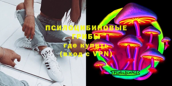 твердый Арсеньев