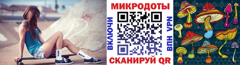 продажа наркотиков  Тайга  Псилоцибиновые грибы Magic Shrooms 
